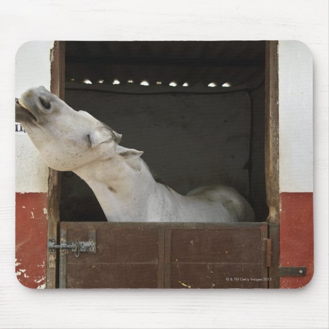 Grey horse in a stable mouse pad (Front)