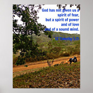 Grey horse inspirational Timothy Bible Verse God Poster