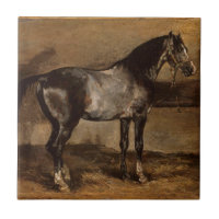 Grey horse rack by Theodore Gericault