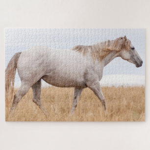 Grey horse walking through field jigsaw puzzle