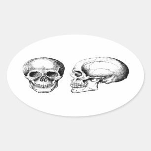 Grey Human Skulls Face Side Oval Sticker
