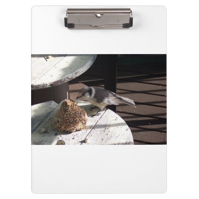 Grey Jay and Bell White Clipboard (Front)