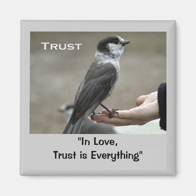 Grey Jay Motivational Magnets (Front)