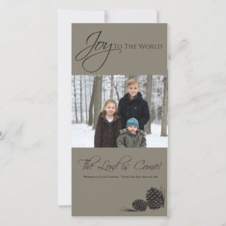 Grey Joy to the World Photocard Holiday Card