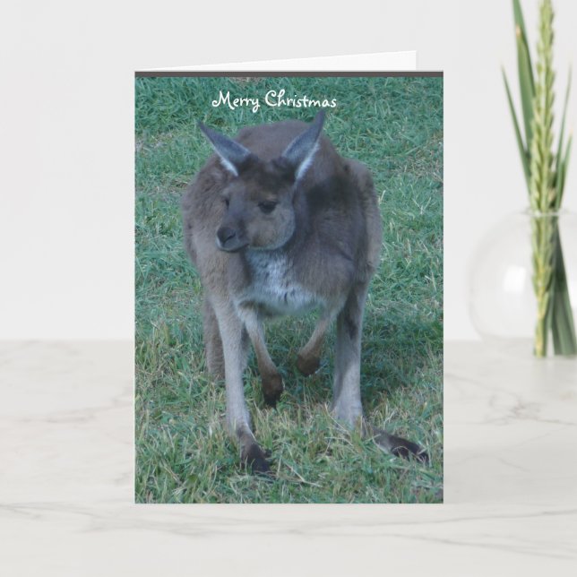 Grey Kangaroo Christmas Holiday Card (Front)
