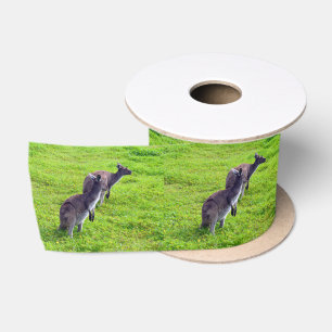 Grey Kangaroos On Green Grass, Satin Ribbon
