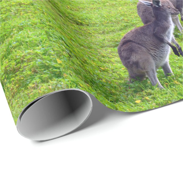 Grey Kangaroos On Green Grass, Wrapping Paper (Roll Corner)