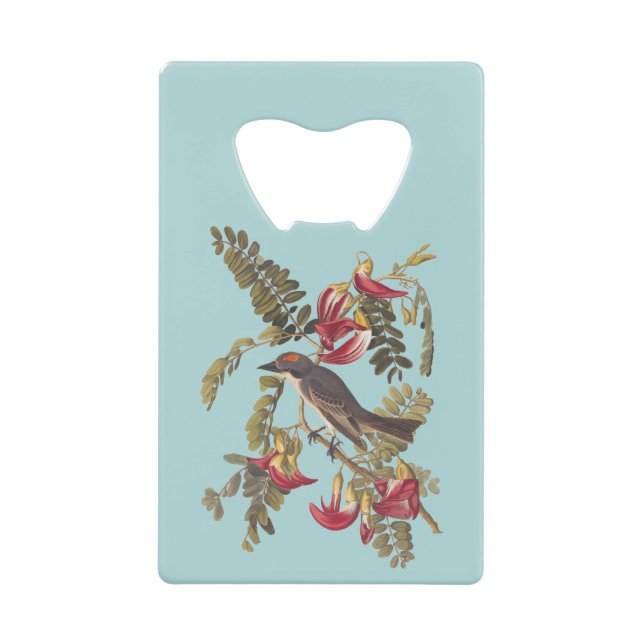 Grey Kingbird and Bible Verse Credit Card Bottle Opener (Front)