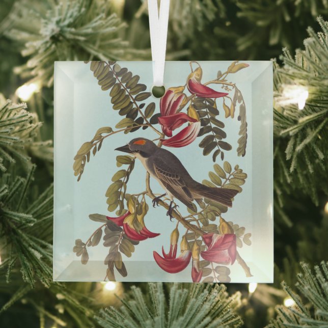 Grey Kingbird Audubon Bird on Flowering Tree Glass Ornament (Insitu)
