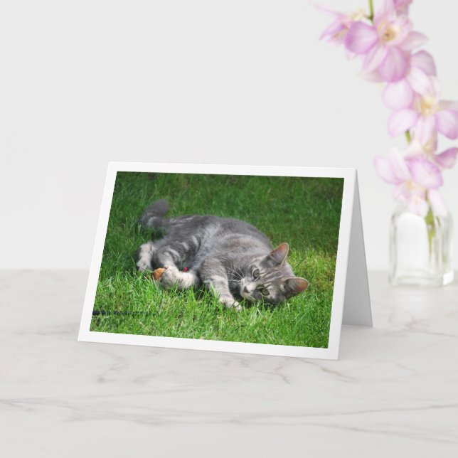 Grey Kitten Laying on Lawn Card (Orchid)