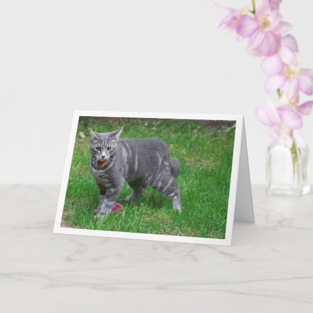 Grey Kitten on Lawn Card (Orchid)