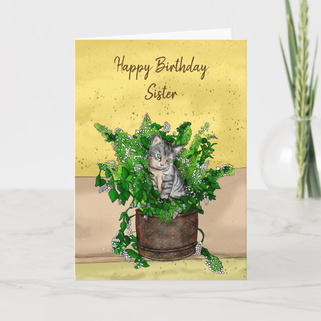 Grey Kitten sitting in a Pot of Catnip Birthday   Card (Front)