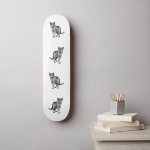 Grey kitten skateboard