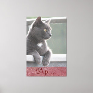 Grey Kitty Canvas Print