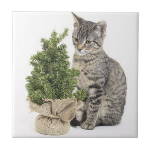 Grey Kitty Green Tree Tile