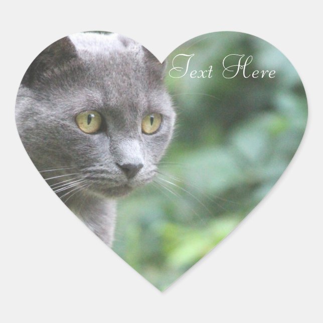 Grey Kitty Heart Sticker (Front)