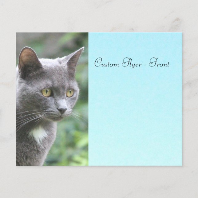 Grey Kitty With Blue Flyer (Front)