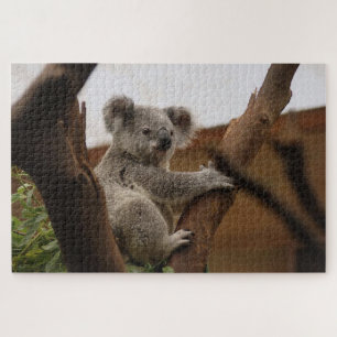 Grey koala bear on a tree jigsaw puzzle