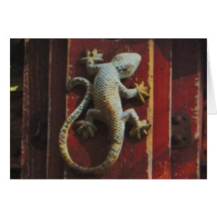 grey lizard on worn wood