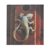grey lizard on worn wood