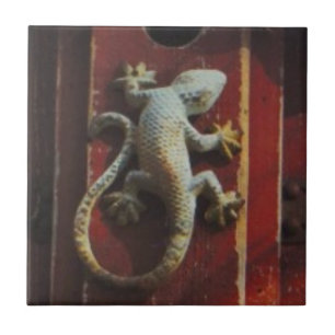 grey lizard on worn wood tile