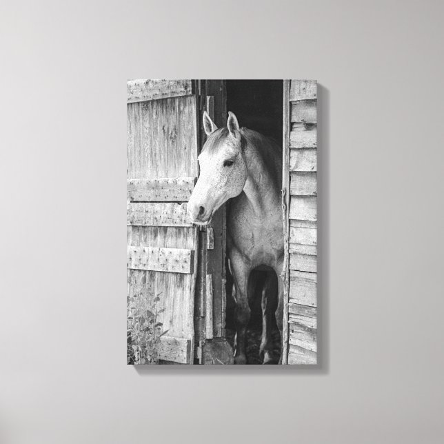 Grey Mare Horse & Barn Black and White Canvas Print (Front)
