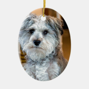Grey Miniature Schnauzer Ceramic Ornament