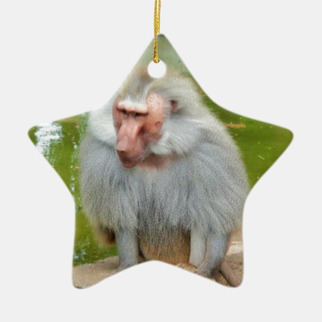 Grey Monkey, Ape Macaque, Nature, Animal Wildlife Ceramic Ornament (Front)