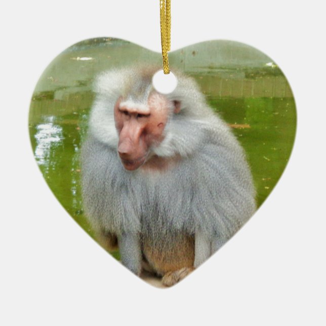 Grey Monkey, Ape Macaque, Nature, Animal Wildlife Ceramic Ornament (Front)