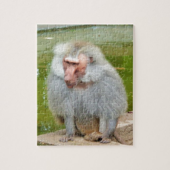 Grey Monkey, Ape Macaque, Nature, Animal Wildlife Jigsaw Puzzle (Vertical)