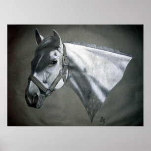 Grey on Grey Equine Art Poster