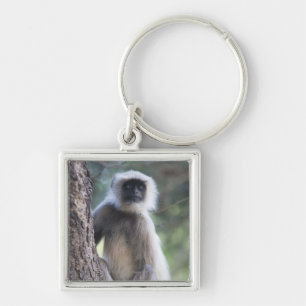Grey or common or Hanuman langur Keychain