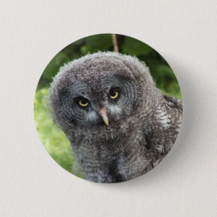 GREY OWL  2 INCH ROUND BUTTON