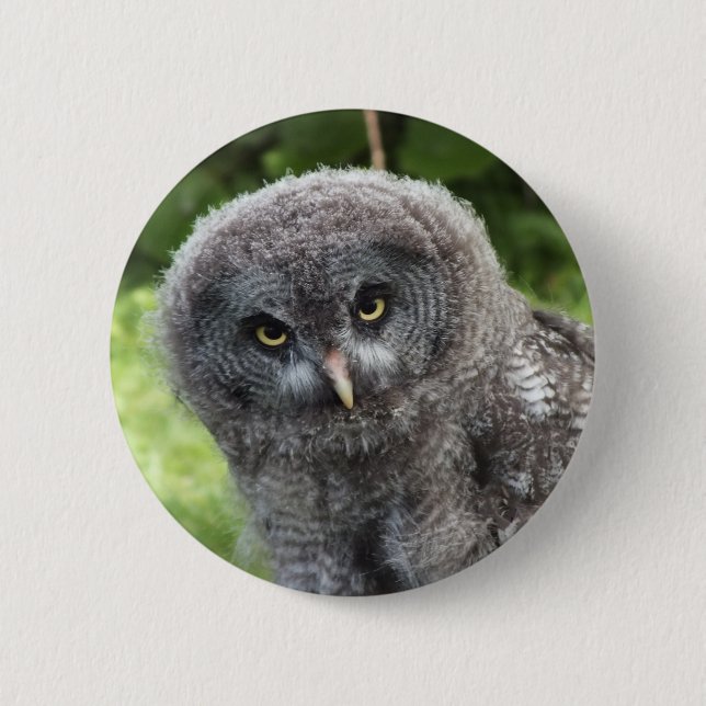 GREY OWL  2 INCH ROUND BUTTON (Front)