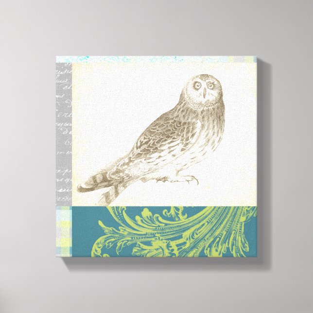 Grey Owl on Pattern Background Canvas Print (Front)