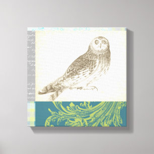 Grey Owl on Pattern Background Canvas Print