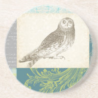Grey Owl on Pattern Background