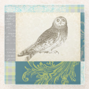 Grey Owl on Pattern Background Glass Coaster