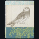 Grey Owl on Pattern Background iPad Cover<br><div class="desc">Feeling artsy? Get this contemporary drawing of a grey owl on a collage-inspired background. The background is colourful and includes tones of blue,  grey and green. This fine art print will brighten any living room,  bathroom or bedroom.</div>
