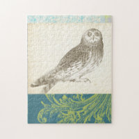 Grey Owl on Pattern Background