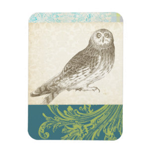 Grey Owl on Pattern Background Magnet