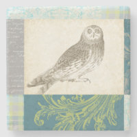 Grey Owl on Pattern Background