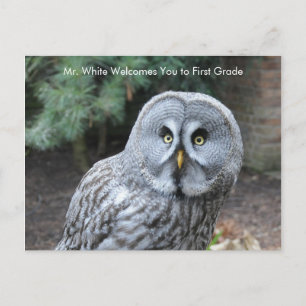 Grey Owl Welcome Students Custom Postcard
