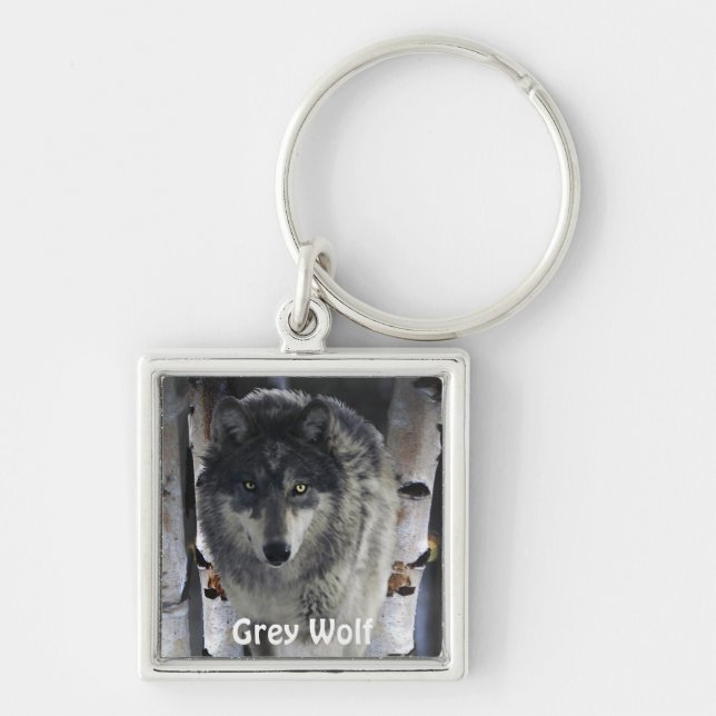GREY PACK WOLF Collection Keychain (Front)