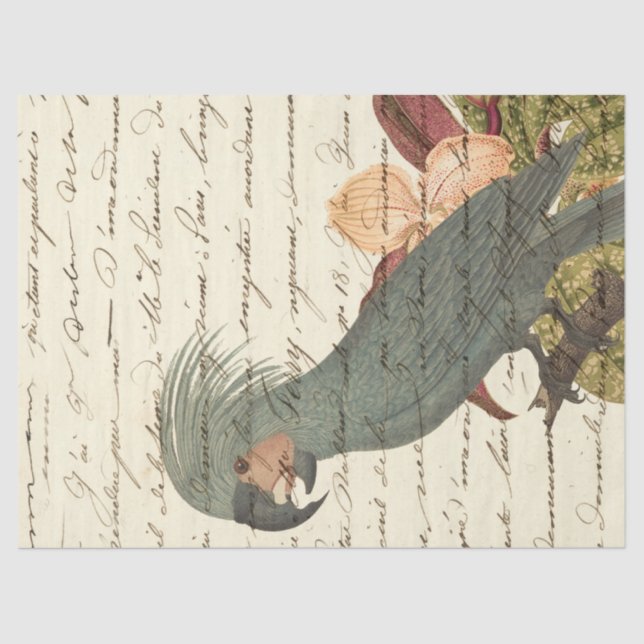 Grey Parrot with Flowers and Cursive Decoupage Tissue Paper (Front)