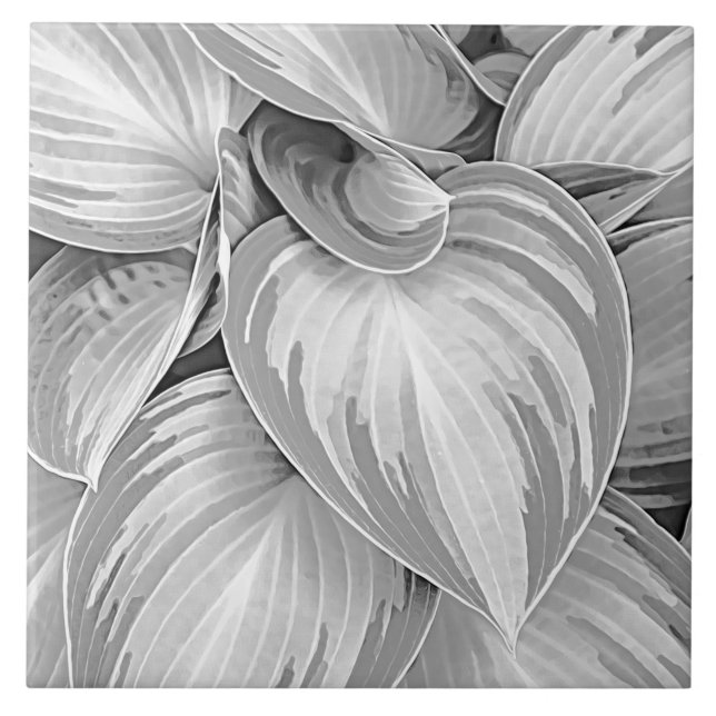 Grey Pattern Leaves Botanical Decorative  Tile (Front)