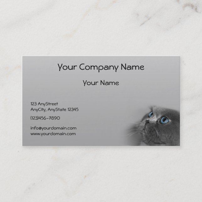 Grey Persian Cat with Blue Eyes on Grey Background Business Card (Front)