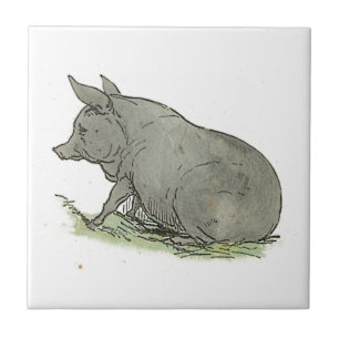 Grey Pig Piggy Children’s Book Illustration Tile