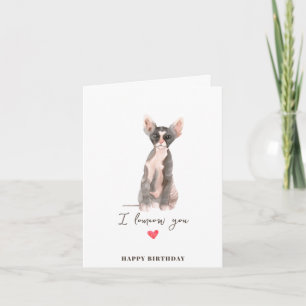 Grey Pink Sphynx Cat Heart Puppy Pets Birthday Card