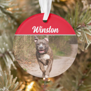 Grey Pit Bull with Name and Photo Christmas Ornament
